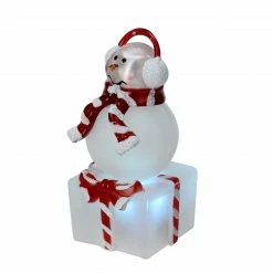 Northlight 3.75" LED Lighted Color Changing Snowman With Ear Muffs Christmas Table Top Decoration -Northlight Shop northlight d14 24043earmuffs 1 56058.1665610743
