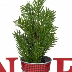 Northlight 13" Red "NOEL" Potted Faux Pine In Metal Planter Christmas Tabletop Plaque -Northlight Shop northlight hh93150 5 89448.1659647935