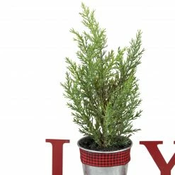 Northlight 10" Red "JOY" Potted Faux Pine In Metal Planter Christmas Tabletop Plaque -Northlight Shop northlight hh93151 5 20472.1659647931
