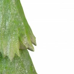 Northlight 14.5" Green Glittered And Textured Christmas Tree Decoration -Northlight Shop northlight hh93153 4 41795.1651078270