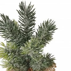 Northlight 7.75" Frosted Icy Pine Tree In Burlap Base Christmas Decoration -Northlight Shop northlight hn92681 2 pre20list 91462.1664379672