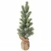 Northlight 17.5" Icy Frosted Pine Tree In Burlap Base Christmas Decoration