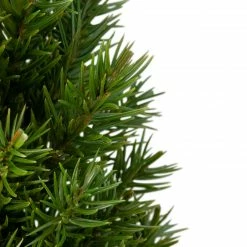 Northlight 17" Mini Tabletop Christmas Tree With Red Metal Pot - Unlit -Northlight Shop northlight sf89158 4 sample 43284.1665611933