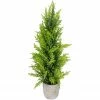 Northlight 17" Upswept Frosted Cedar Artificial Christmas Tree - Unlit