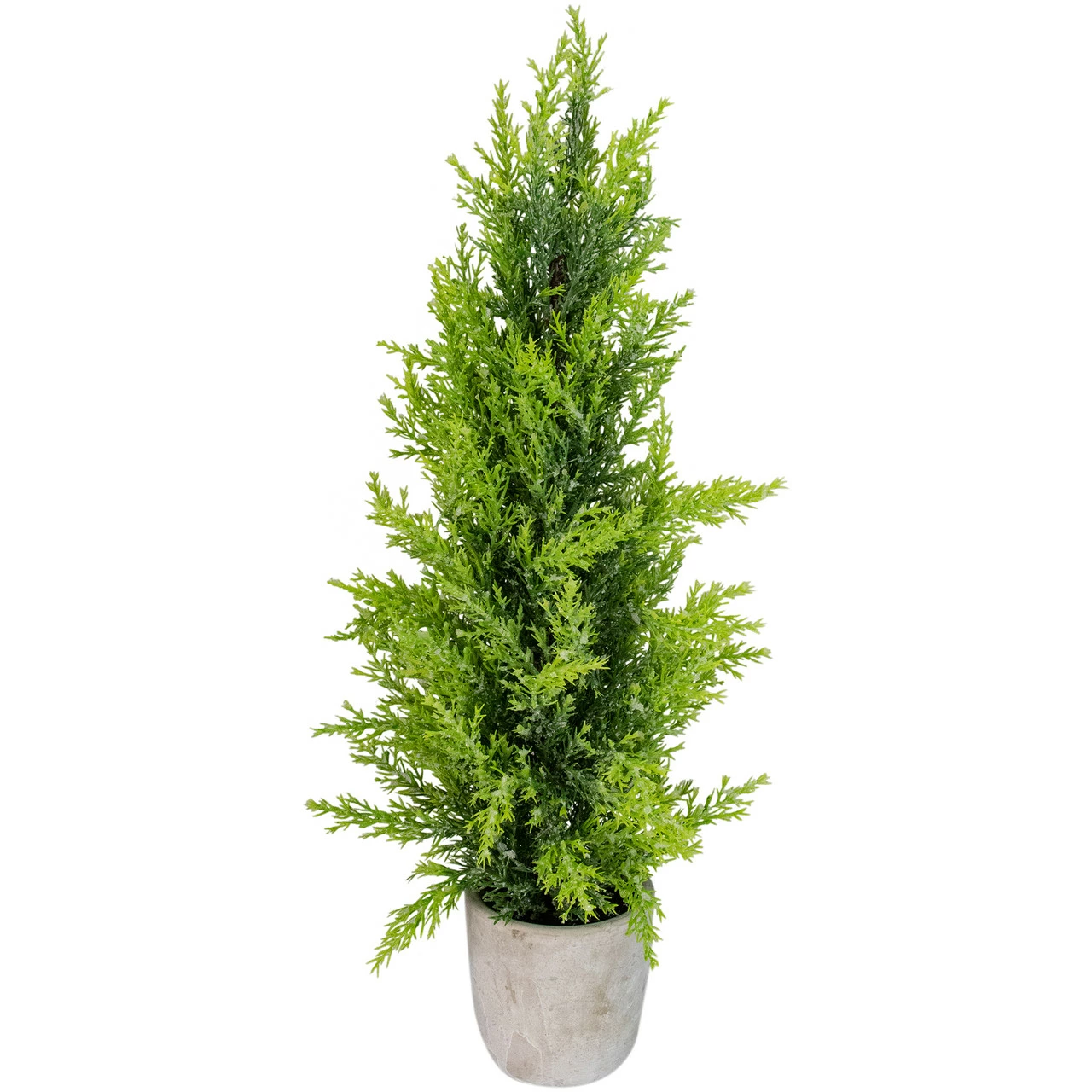Northlight 17" Upswept Frosted Cedar Artificial Christmas Tree - Unlit 1 Northlight 17" Upswept Frosted Cedar Artificial Christmas Tree - Unlit