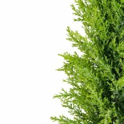 Northlight 17" Upswept Frosted Cedar Artificial Christmas Tree - Unlit 4 Northlight 17" Upswept Frosted Cedar Artificial Christmas Tree - Unlit -Northlight Shop northlight sf89186 2 sample 30102.1664380280