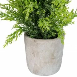 Northlight 17" Upswept Frosted Cedar Artificial Christmas Tree - Unlit 5 Northlight 17" Upswept Frosted Cedar Artificial Christmas Tree - Unlit -Northlight Shop northlight sf89186 3 sample 95490.1664380280