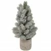 Northlight 16" LED Lighted Mini Frosted Pine Christmas Tree In Cement Base