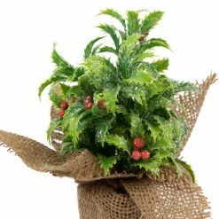 Northlight 8" Iced Artificial Christmas Holly Berry Plant In Burlap Base -Northlight Shop northlight sf93425 2 29607.1665611040