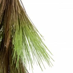 Northlight 20.5" Green And Brown Pine Needle Tree Christmas Decoration -Northlight Shop northlight sh93295 3 15510.1652460134
