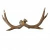 Raz 16" Brown Reindeer Antler Glitter Mantle Tabletop Decor
