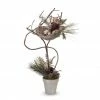 Melrose 28" Brown Pine Cones And Birds Nest Christmas Topiary Tabletop Tree